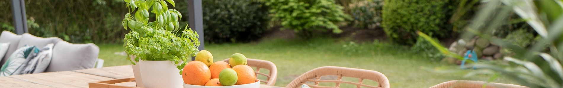 Headerbild_Alles-fuer-den-Garten